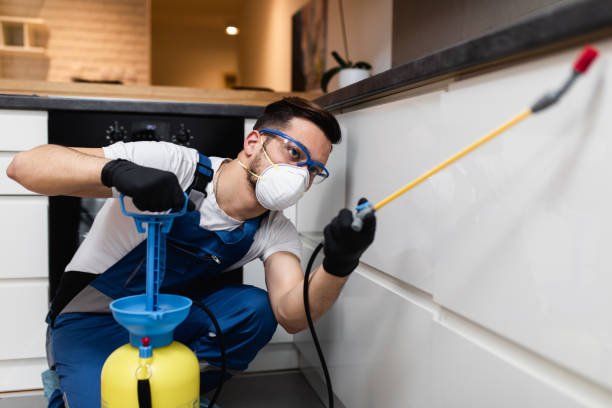 Best Cockroach Control Services  in Great Bend, NY
