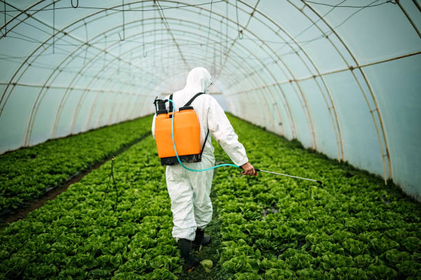 Best Best Pest Control Companies  in Great Bend, NY