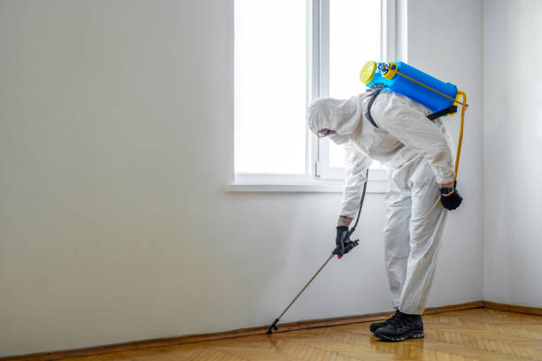 Great Bend, NY Pest Control Company