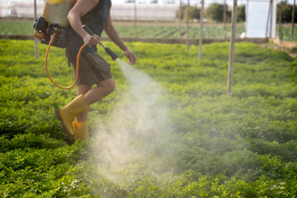 Best Best Pest Control Near Me  in Great Bend, NY