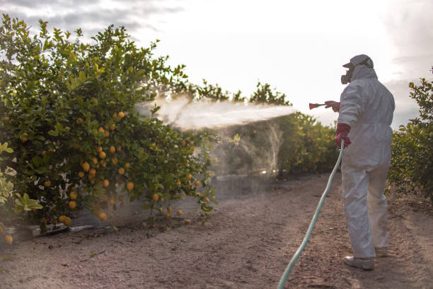 Best Flea Control Services  in Great Bend, NY