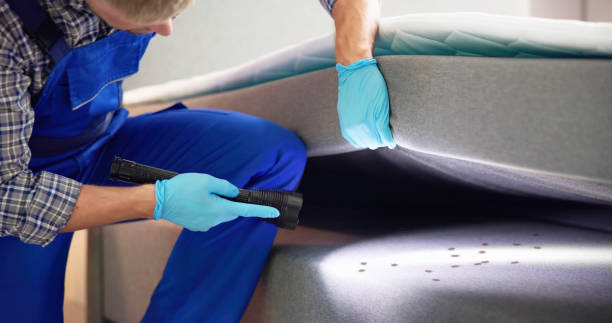Best Pest Removal Services  in Great Bend, NY