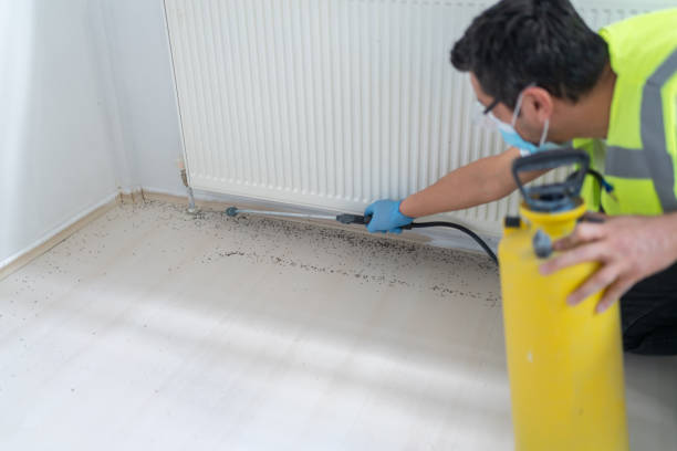 Best Exterminator Services  in Great Bend, NY