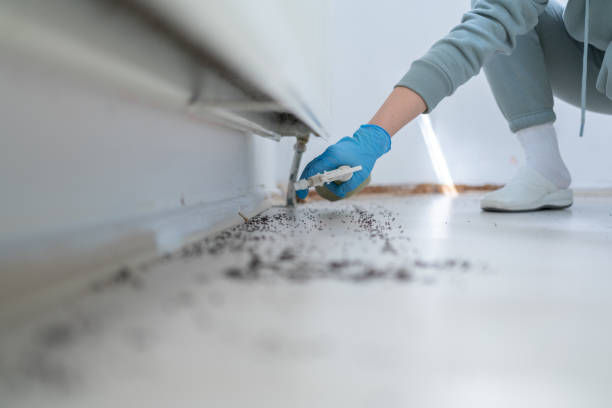 Pest Prevention Services in Great Bend, NY