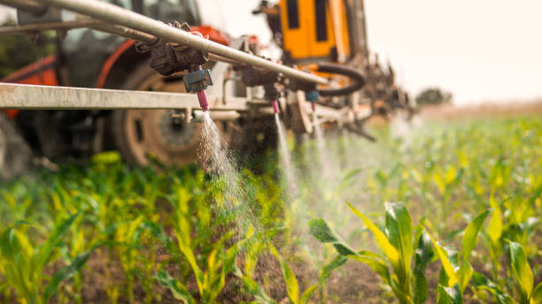 Professional Pest Control in Great Bend, NY